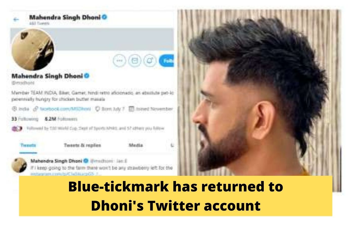 Blue-tickmark has returned to Dhoni's Twitter account